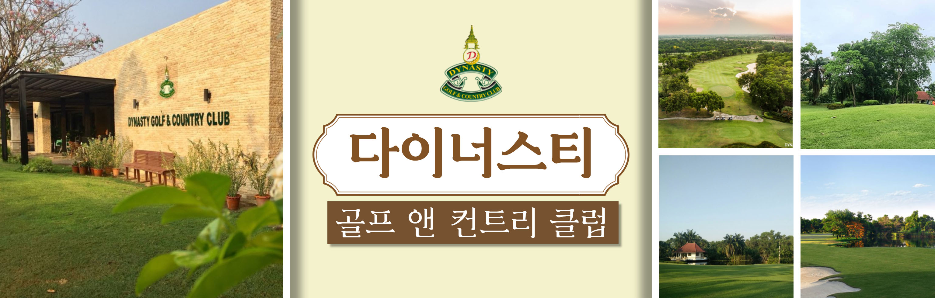 dy.jpg