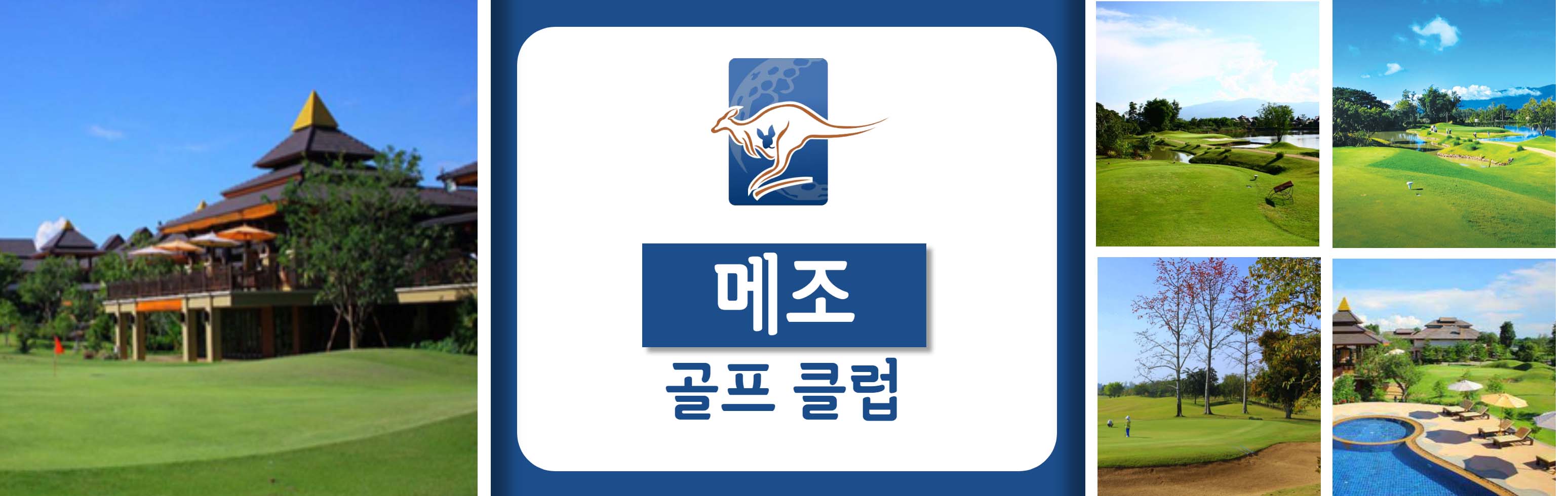 31 HEAD  메조 골프 클럽_1.jpg